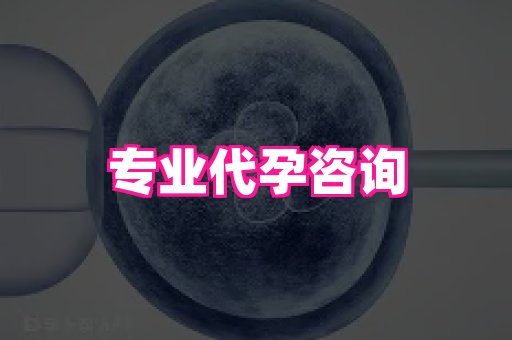 武汉助孕网站 2