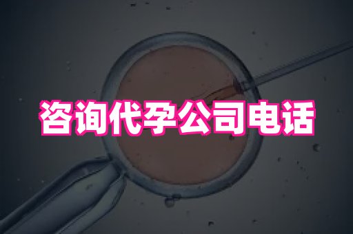 武汉助孕网站 4